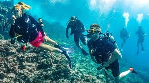 Scuba Diving